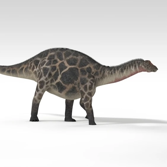 Dicraeosaurus dinosaur  white background Poster Print (37 x 21)