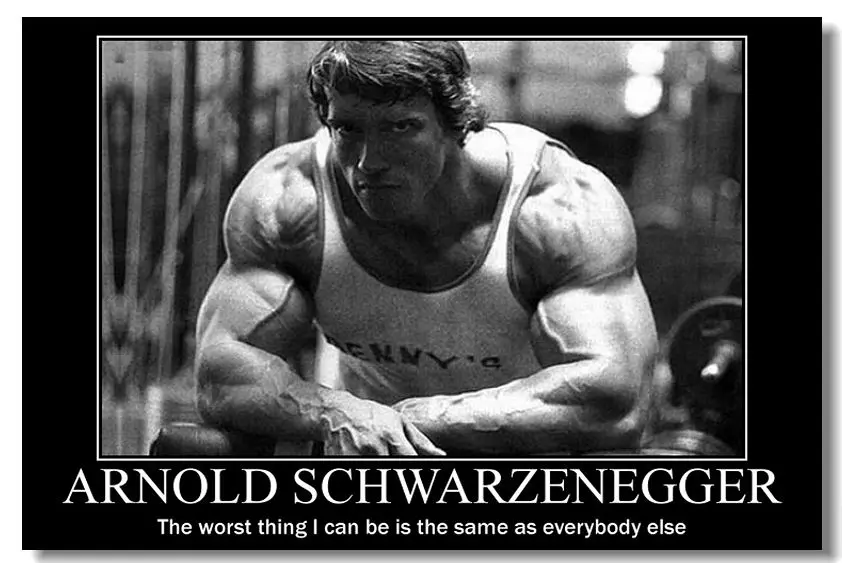 

NICOLESHENTING Arnold Schwarzenegger Motivational Quotes Art Silk Poster Bodybuilding Fitness Inspirational Pictures Wall Decor