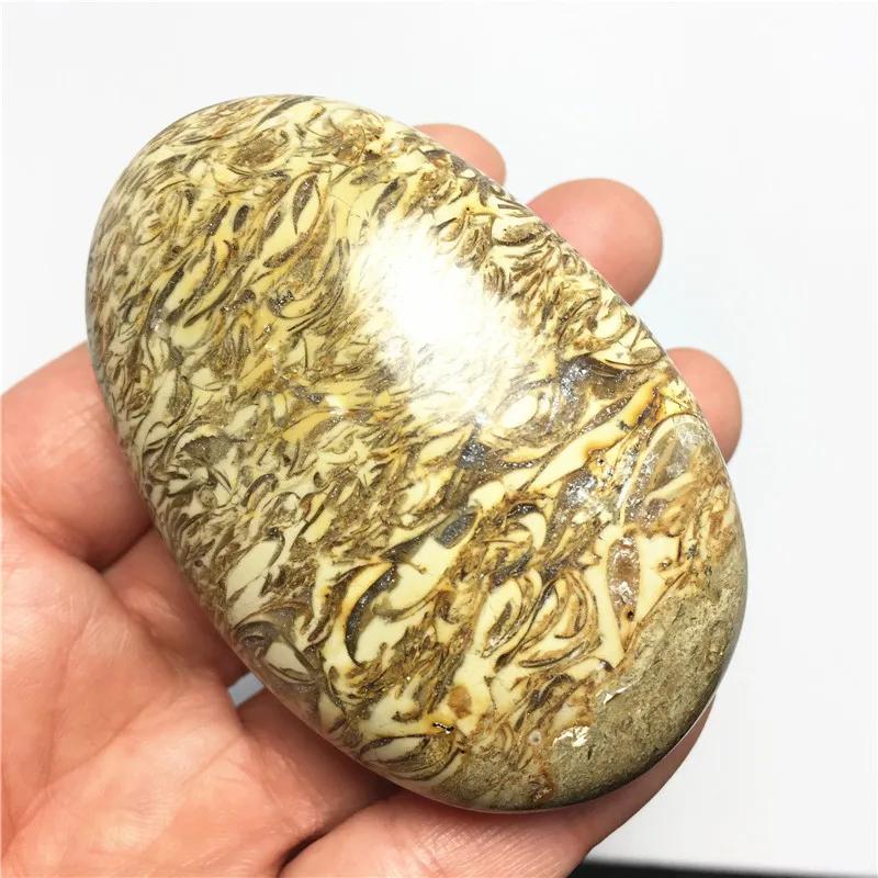 08 (4)