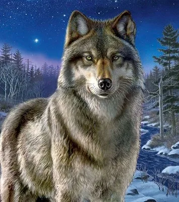 

The Wolf in the Night Animals Needlework,Embroidery,DIY 14CT Art DMC Cross stitch kits,Pattern Counted Cross-Stitching Set Decor