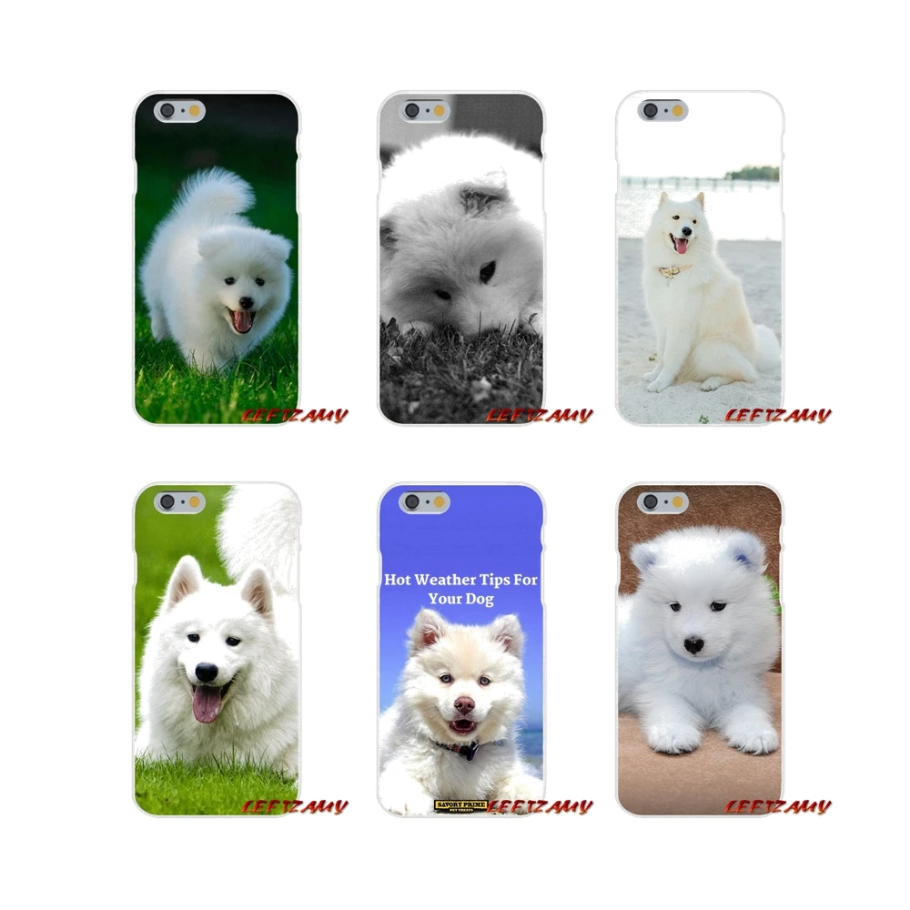 

cute white Samoyed puppy dog pets For Samsung Galaxy A3 A5 A7 J1 J2 J3 J5 J7 2015 2016 2017 Accessories Phone Shell Covers