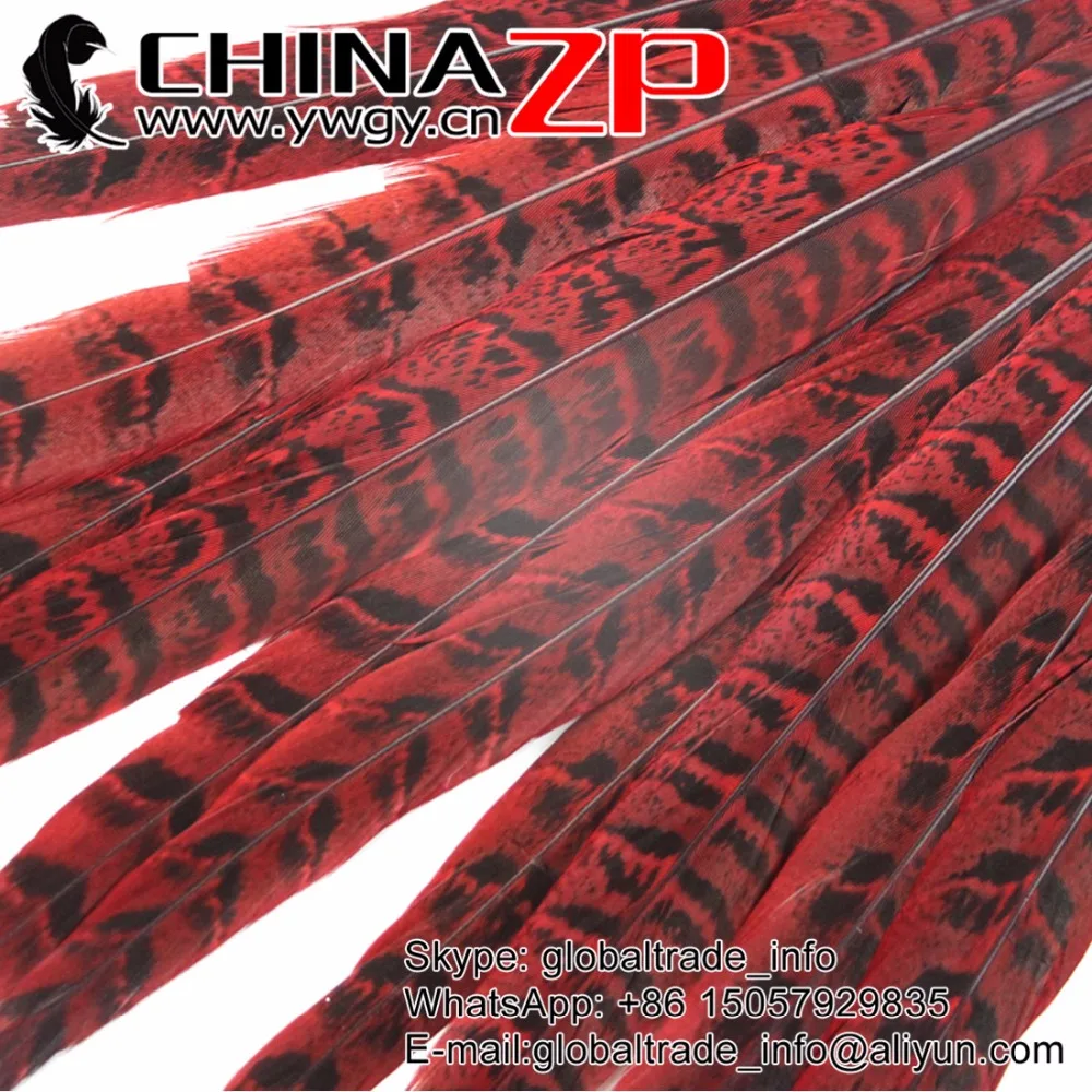 

CHINAZP Factory 100pcs/lot 12 ~14inch(30-35cm) Length Dyed Red Prime Quality Ringneck Hen Pheasant Tail Feathers