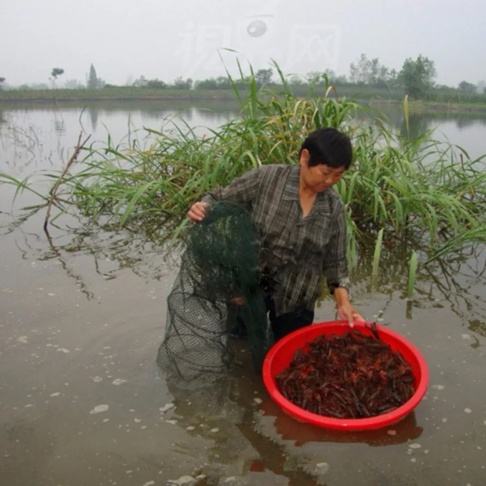 fishing net cage