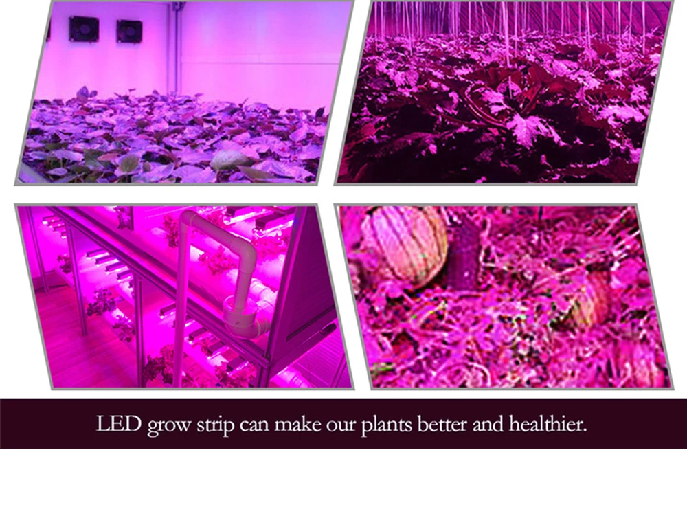 LED31_07