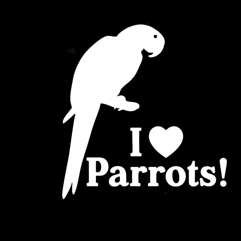 12 см * 7 I Heart попугаи Love Bird Pet Parrot автомобильные виниловые наклейки и стильные