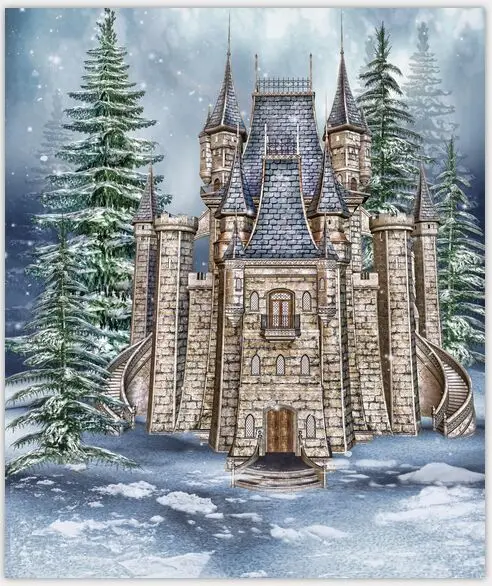 

8x8ft Customized Thin vinyl photography backdrops computer Printing Vinyl cloth background for photo studio castle 04
