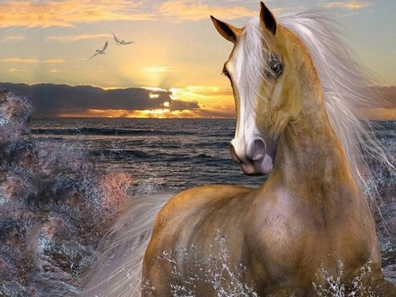 5D DIY Diamond Painting  Horse Water Sunset Embroidery Diamond Painting Cross Stitch Rhinestone Mosaic Painting