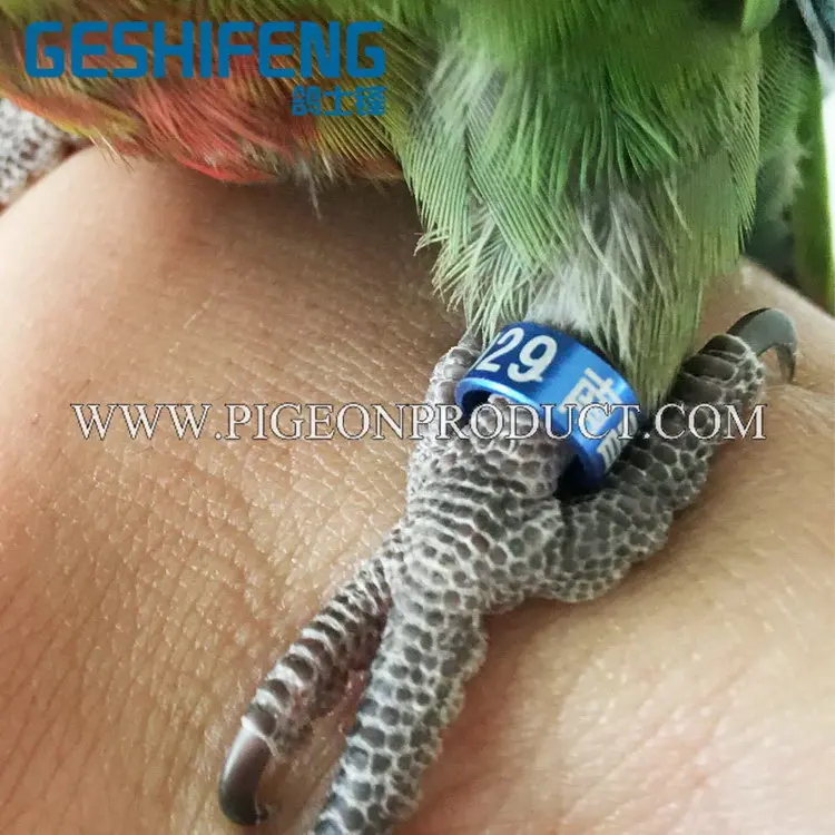 1031%Bird Ring!aluminium Bird  ring#GSF-ABR-S(zt)080