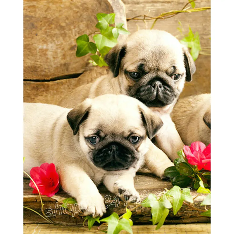 Resin Square Drill 5D DIY Diamond Painting New Arrival Cute Dog Mosaic Cross Embroidery Home Decoration Animal | Дом и сад