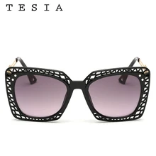 TESIA Bird’s Nest Sunglasses Women Luxury Brand Designer Z Temple Hollow Out Frames Sun Glasses For Women UV400 T522