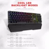 Mouse & Keyboards
