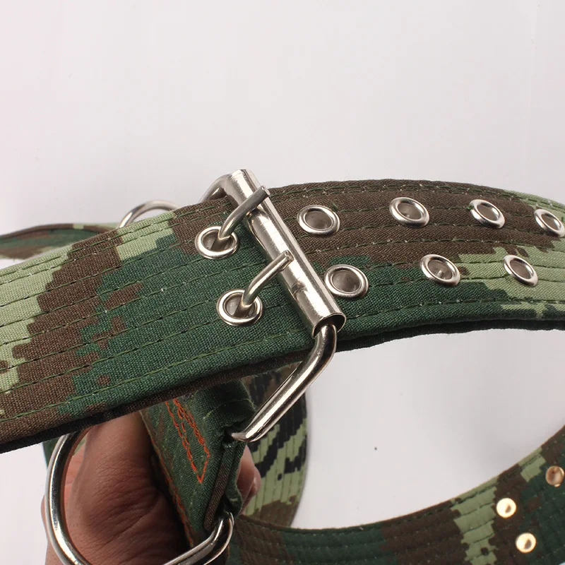 dog collar lead