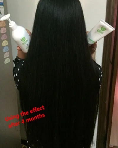 wowo pure ginger shampoo health hair formula|shampoo color|health  balanceshampoo professional - AliExpress