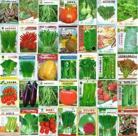 100pcs Vegetable seeds wholesale and different vegetable seed family potted balcony garden four seasons pl