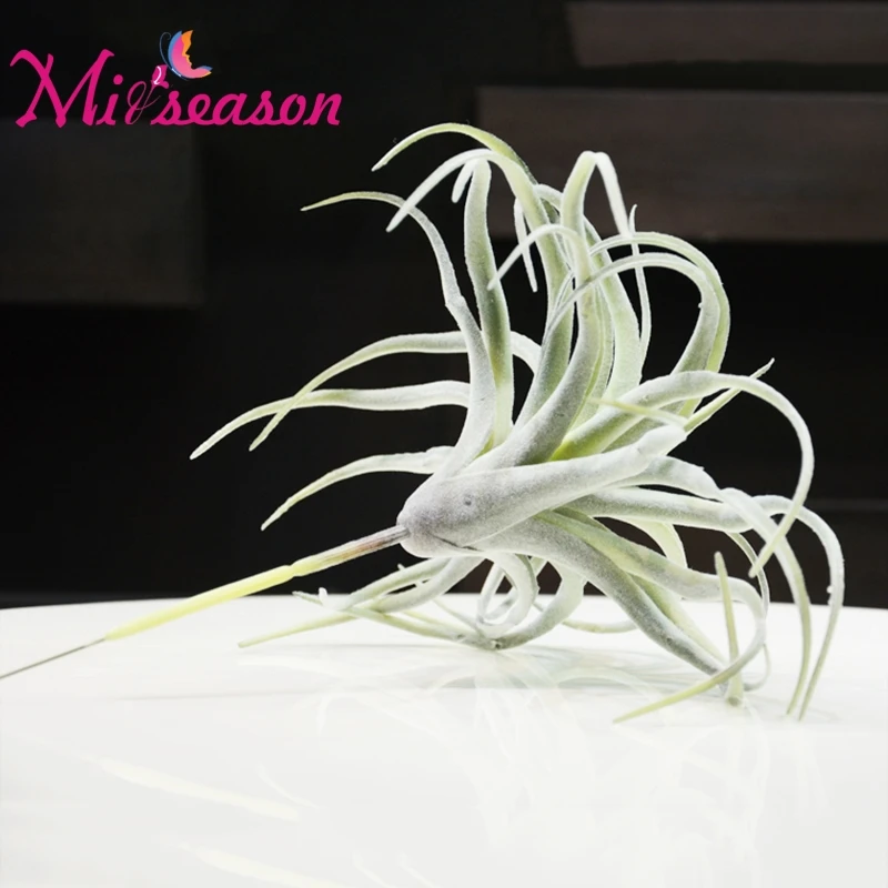 Flocking Artificial Fleshiness Air Grass Plant Microlandschaft Decorative Flower Home Balcony Decoration Wedding Festival Plants Flocking Artificial Fleshiness Air Grass Plant Microlandschaft Decorative Flower Home Balcony Decoration Wedding Festival Plants