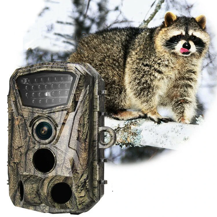 

5MP 1920P HD Infrared Night Vision Hunting Camera Scouting Camera Outdoors IP65 Waterproof Tracking HD H883 IP Camera