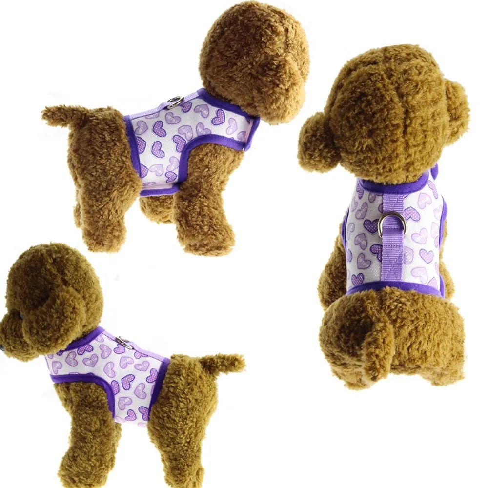 71bOxO-kFOL._SL1000__