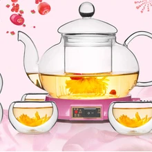 1SET Heat Resistant Bottle Cup Glass Teapot with Infuser Tea Leaf Herbal Home Office JO 1051