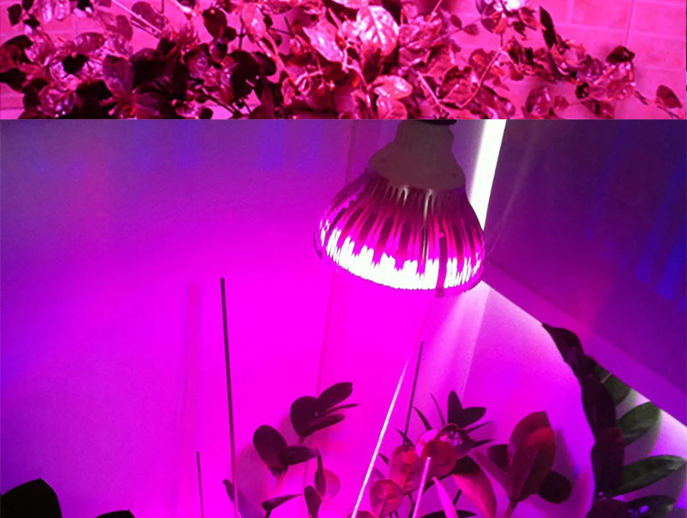 Полный спектр завод с/х Светодиодная лампа лампы освещения для семян Hydro Цветочная теплица Вег Крытый сад гидропоники E27