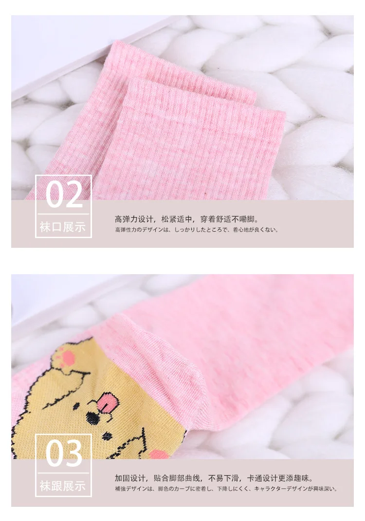 8557926367_259698019