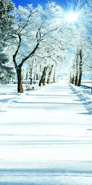 

Charming snow scene 10'x20' CP Computer-painted Scenic Photography Background Photo Studio Backdrop DT-11-237