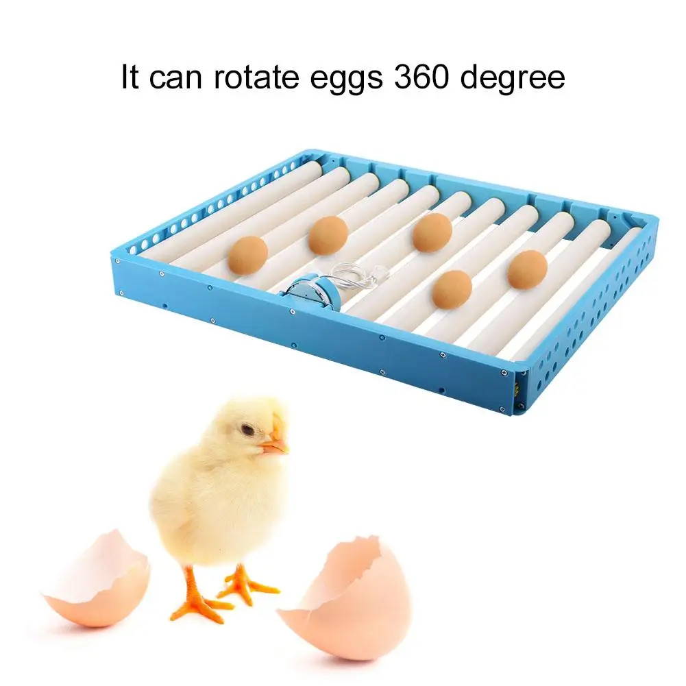 

Plastic Durable Automatic Roller Pattern Egg Turner Incubation Accessory Egg Turner Tray Incubation Accessory 619