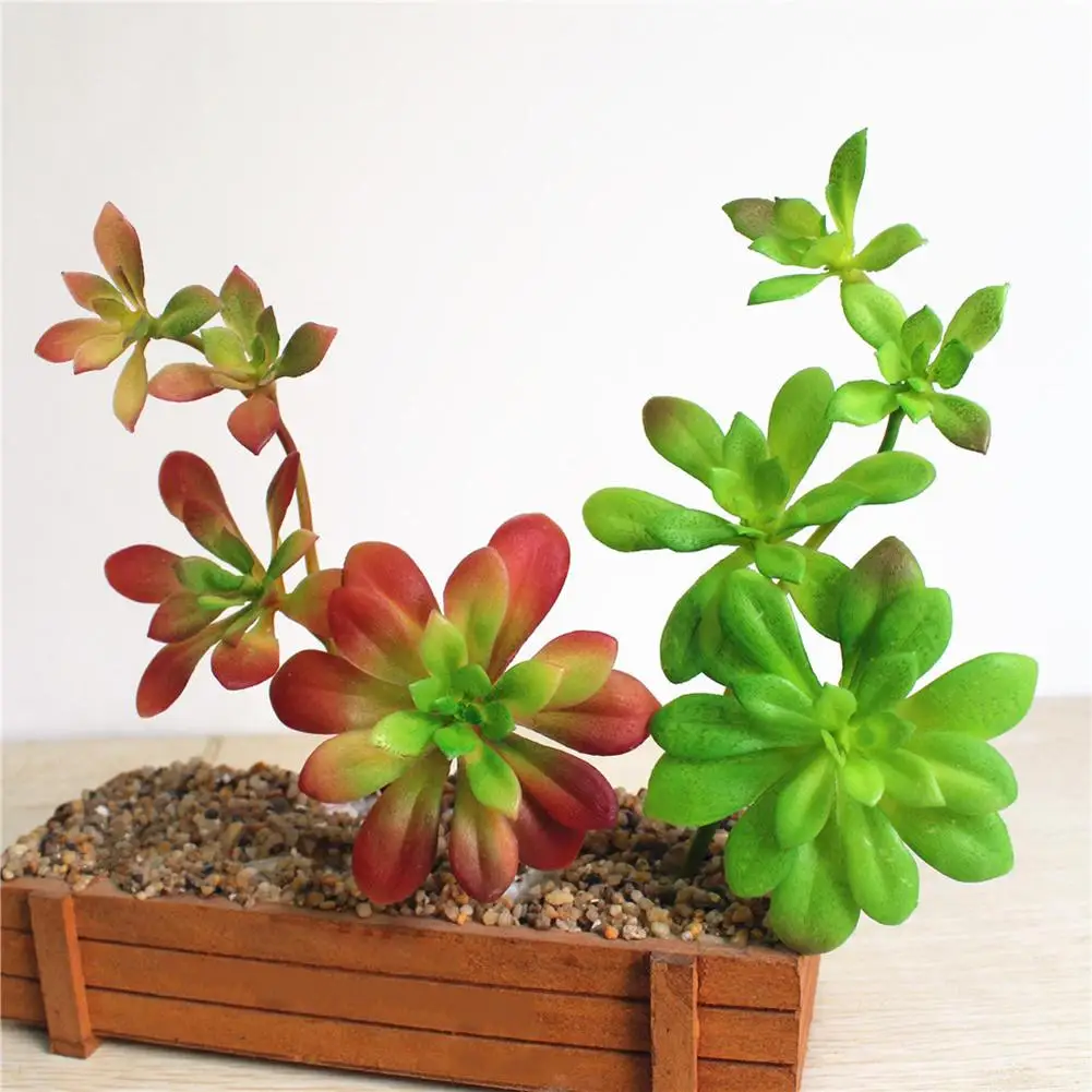 

Creative DIY Accessories Plastic Artificial Succulents Craft Floristry Artificial Plants for Decoration