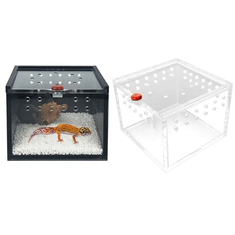 

Acrylic Reptile Feeding Box Insect Lizard Spider Breeding Cage Hatching Container