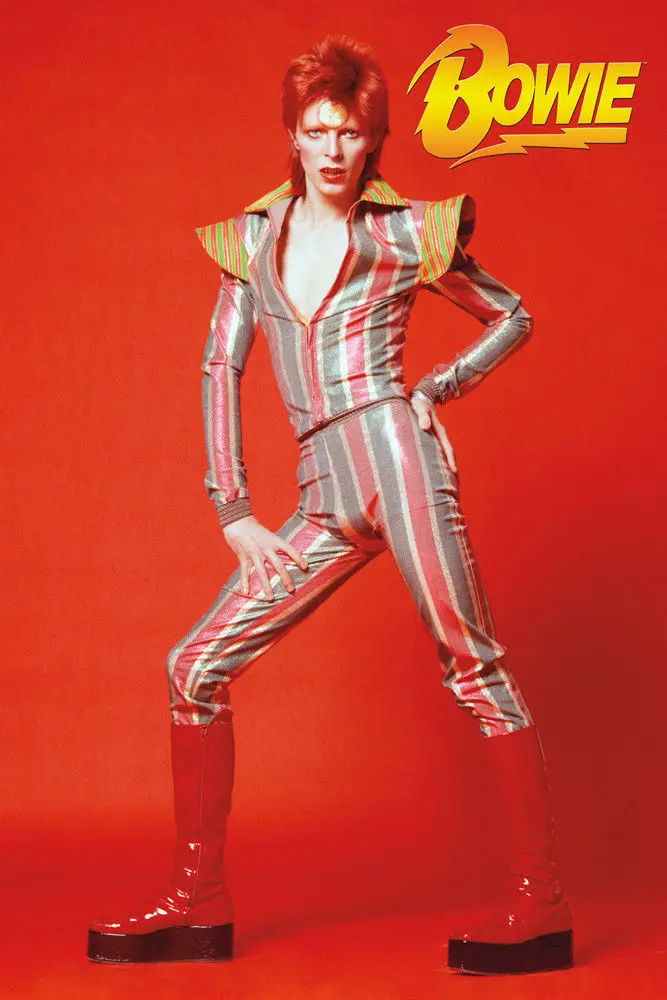

DAVID BOWIE - GLAM SILK POSTER Decorative Wall paint 24x36inch