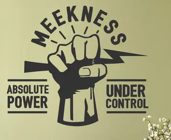 

Meekness Absolute Power Under Control Mathew 5:5 God Decal Vinyl Wall Art