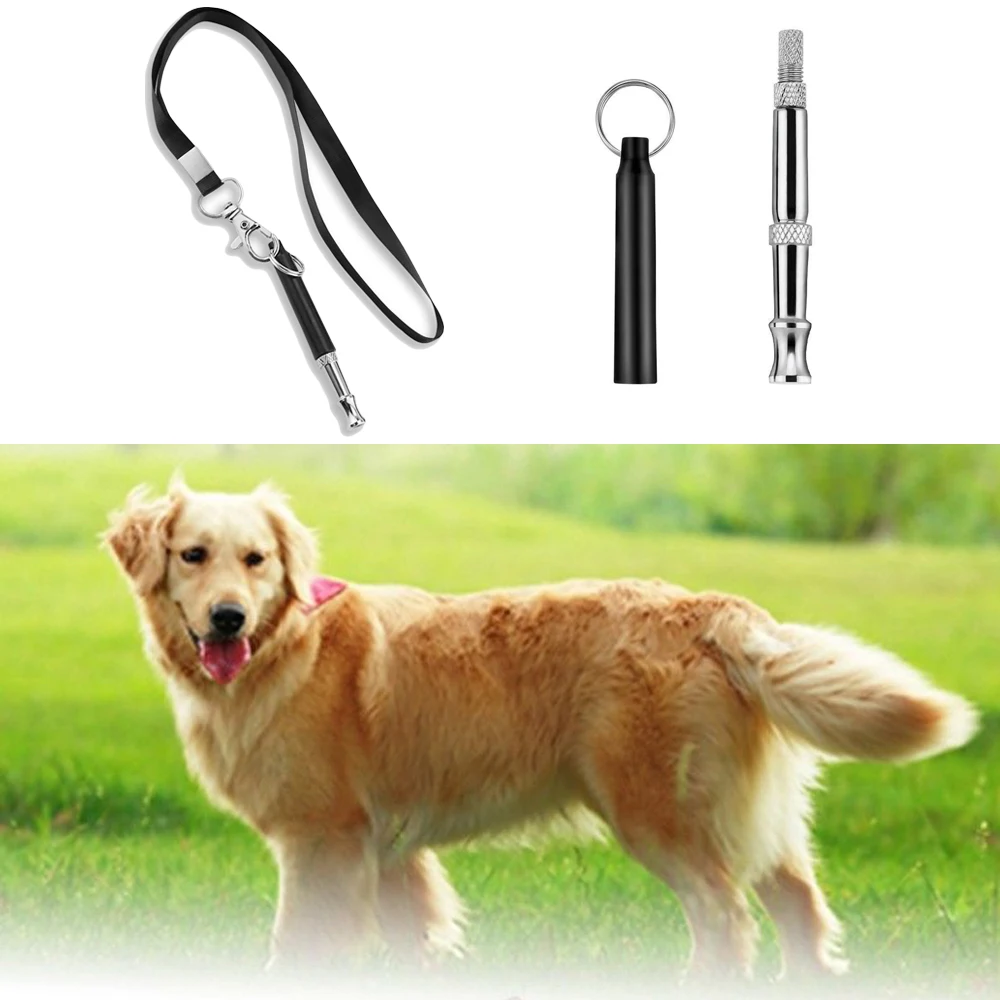 Why Do Dogs React To Whistling