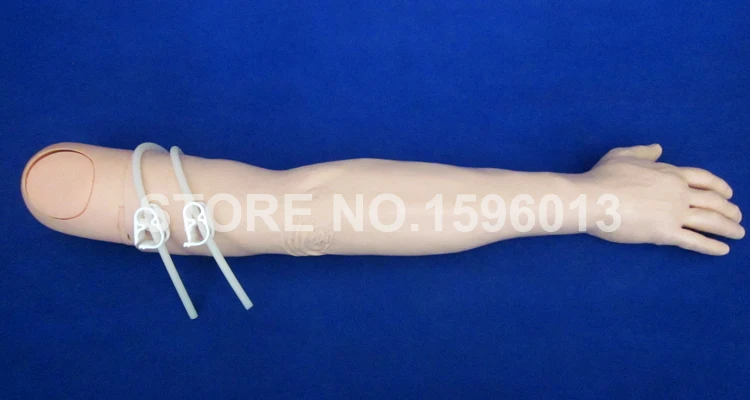446 IV Arm model (14)