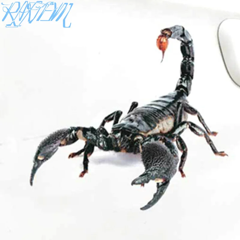 

3D Car Sticker Animals Bumper Spider Gecko Scorpions For Ssangyong Tivoli XLV Kyron Actyon Korando Rexton Rodius