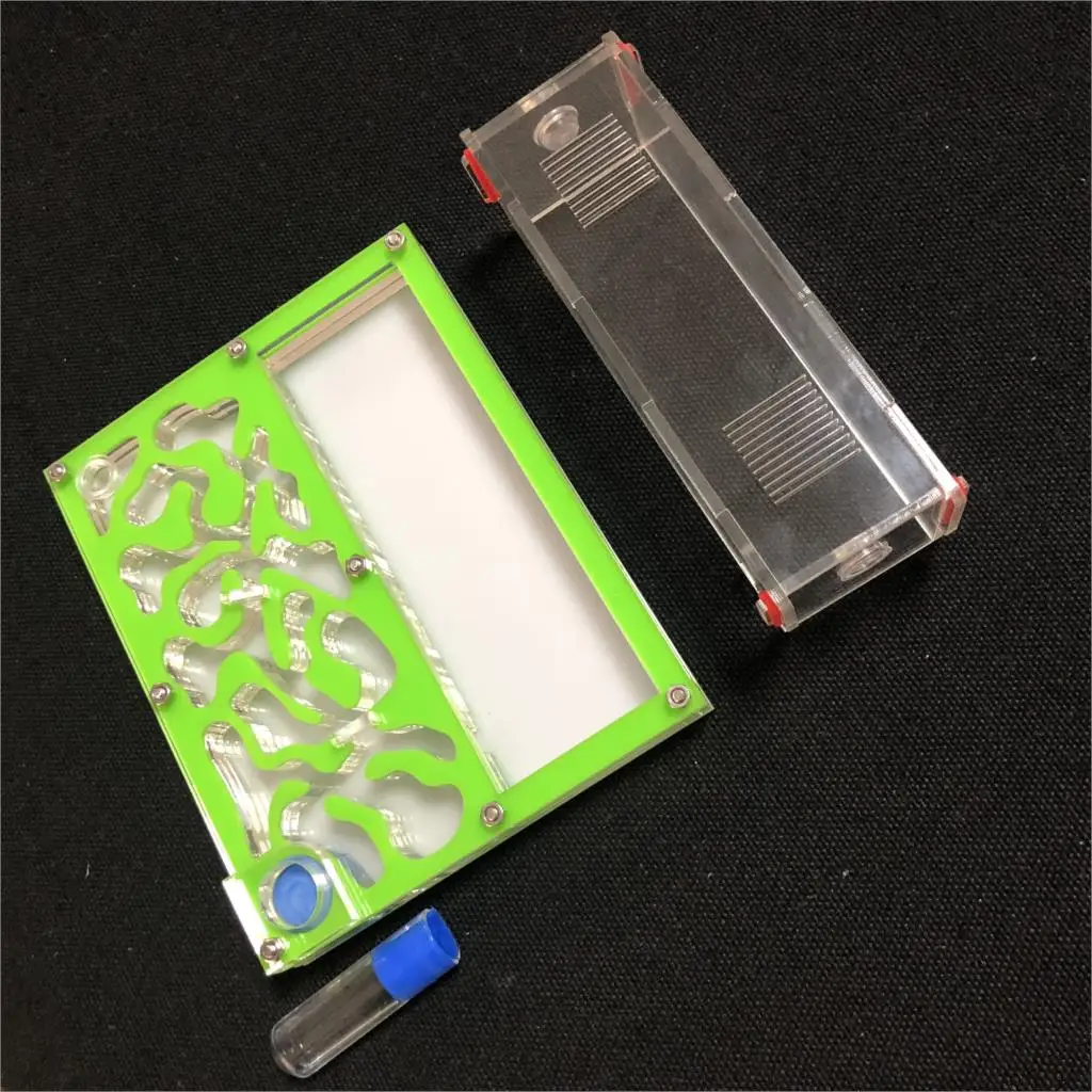 150mm x 110mm probówka wilgoci duża przestrzeń gniazdo mrówek, farma mrówek akrylowych, mrówki owadów dom willa mrówki ekologiczne warsztaty 4 150mm x 110mm probówka wilgoci duża przestrzeń gniazdo mrówek, farma mrówek akrylowych, mrówki owadów dom willa mrówki ekologiczne warsztaty 4