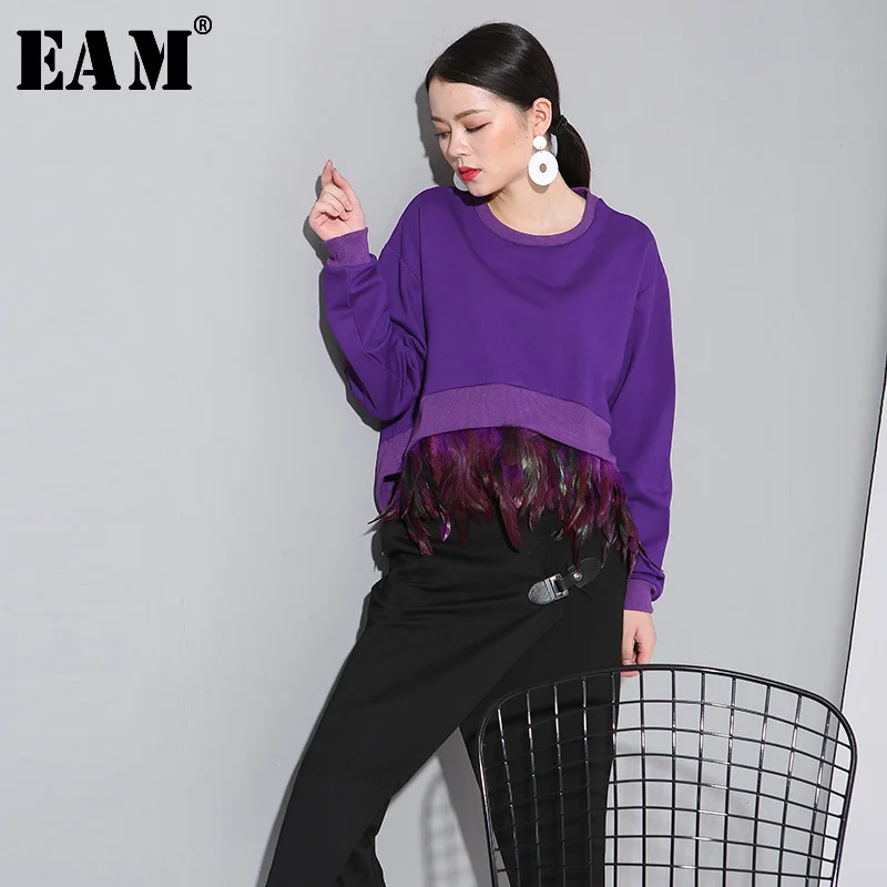 

[EAM] 2019 New Spring Round Neck Long Sleeve Black Hem Removable Feather Split Joint Loose Sweatshirt Lady Fashion Tide