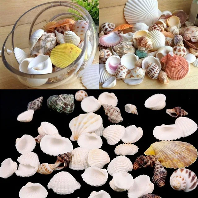 

50g Small Sea Shells Mixed Ocean Beach Seashells-Natural Colorful Sea shells Starfish Perfect for Vase Fillers