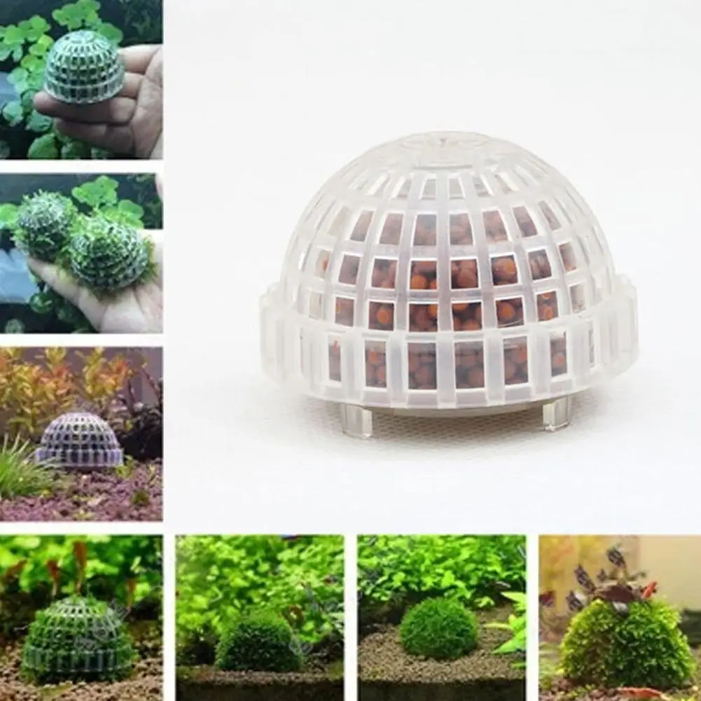 

Marimo Moss Ball Filter Live Aquarium Aquatic Plants Fish Shrimp Tank Pet Decor