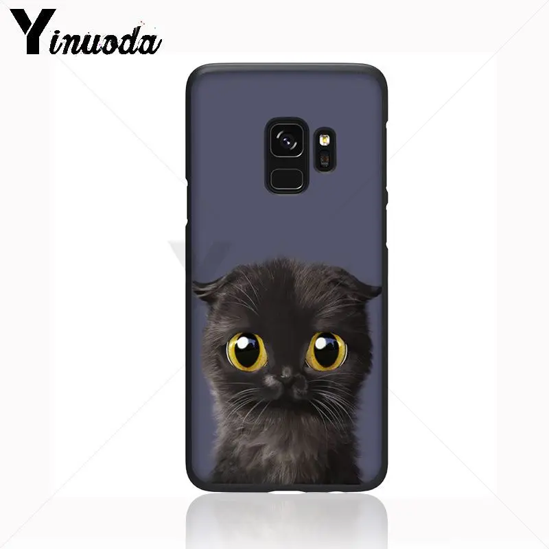 Black Cat Staring Eye