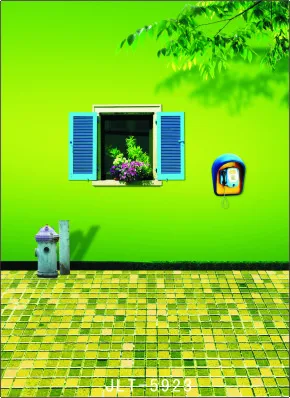 

SHANNY 300cm*300cm Vinyl Custom Photography Backdrops Prop Digital Photo Studio Background  S-5923