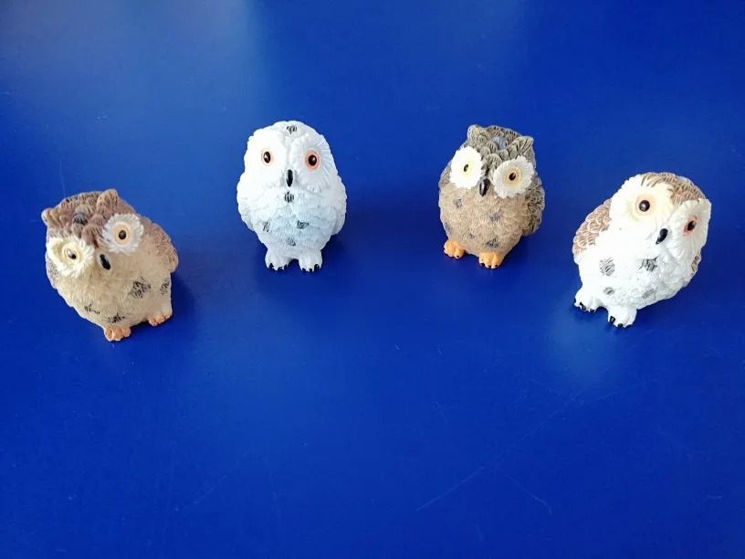 555
