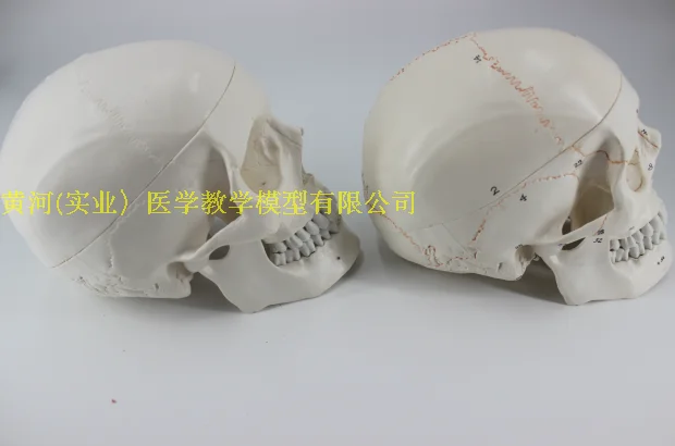 //img.alicdn.com/imgextra/i1/195409353/TB2zViYaSFjpuFjSspbXXXagVXa_!!195409353.png
