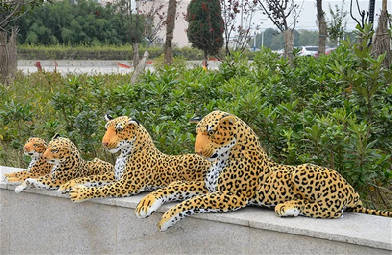 leopard3