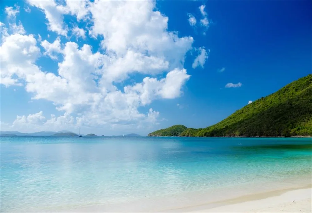 

Laeacco Tropical Sea Beach Island Blue Sky Cloudy Summer Holiday Scenic Photo Backgrounds Photography Backdrops For Photo Studio