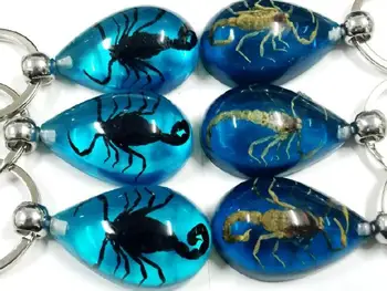 

FREE SHIPPING 6 PCS NEW REAL GOLDEN BLACK SCORPION BLUE LUCITE FINE KEYCHAIN JEWELRY TAXIDERMY