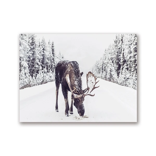 Moose in Snow принт зимний Снежный художественный плакат на холсте картина деревенский Рождественский Декор для гостиной украшение для дома - Цвет: PH1912