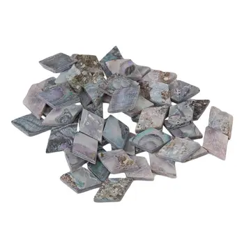 

Yibuy Abalone Mandolin Banjo Diamond Dots Makers for Guitar Fingerboard