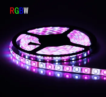 

50m/lot RGBW/RGBWW LED Strip Light Waterproof DC12V SMD 5050 5M/roll IP65 60Leds/M 300LEDS Flexible Tape Light LS01