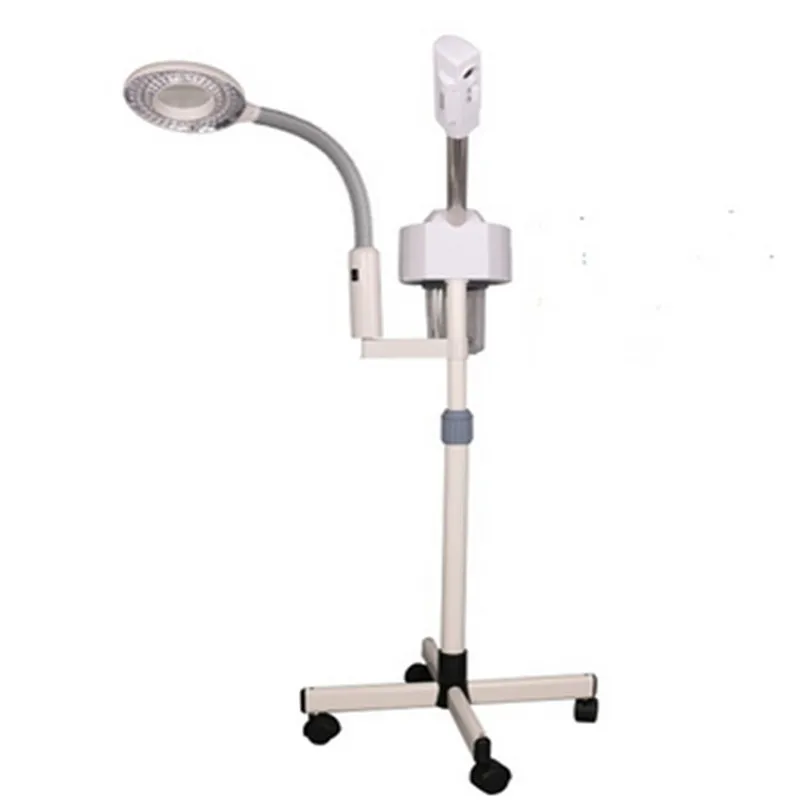 facial steamer (4)