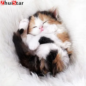 

5D DIY full square Diamond mosaic diamond embroidery animal cute cat embroidered Cross Stitch Home decoration Gift XY1