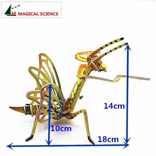 IMG_0258_2